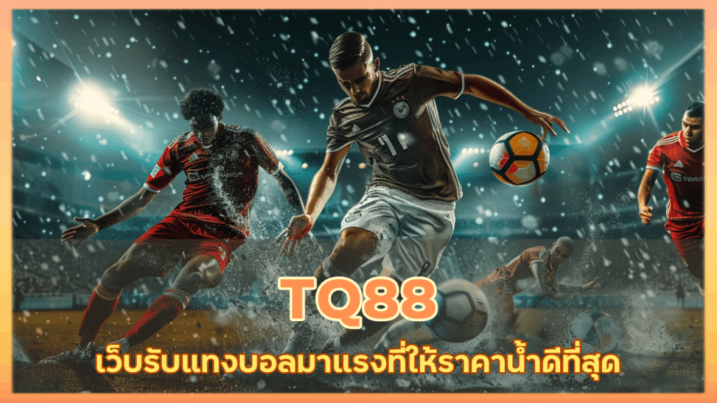 TQ88 เว็บแทงบอลน้ำดีที่สุด